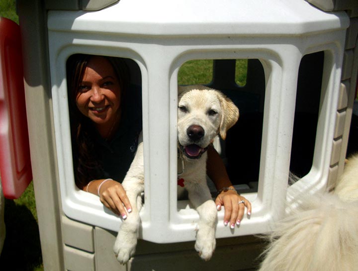 $city Doggie Day Care